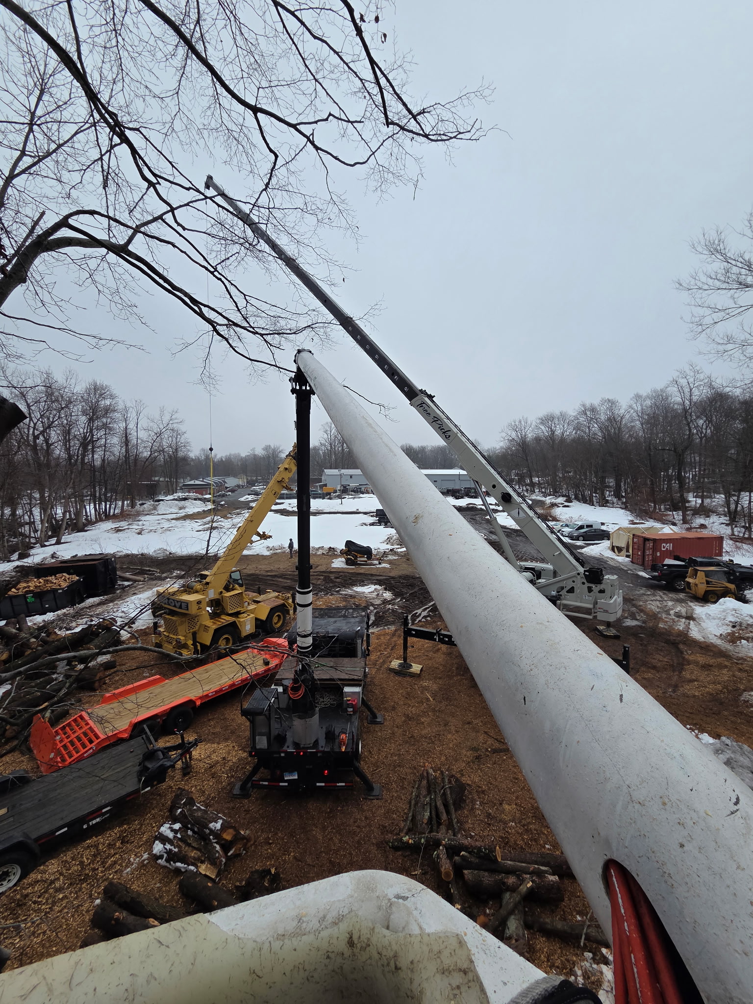 Licensed crane tree removal — MacKenzie Tree, CT