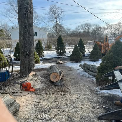 Tree removal in progress — crew and logs, winter job CT