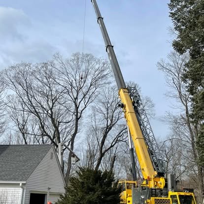 Large crane working beside house — tree removal CT