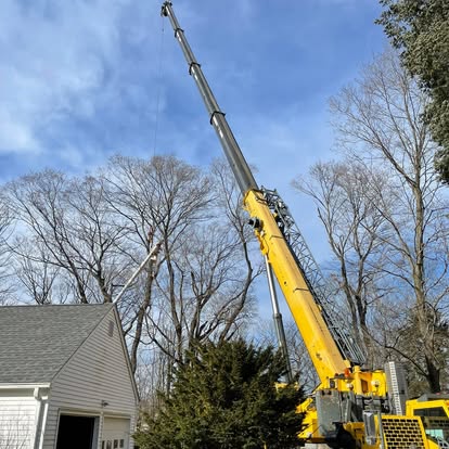 Crane boom over residential yard — MacKenzie Tree CT
