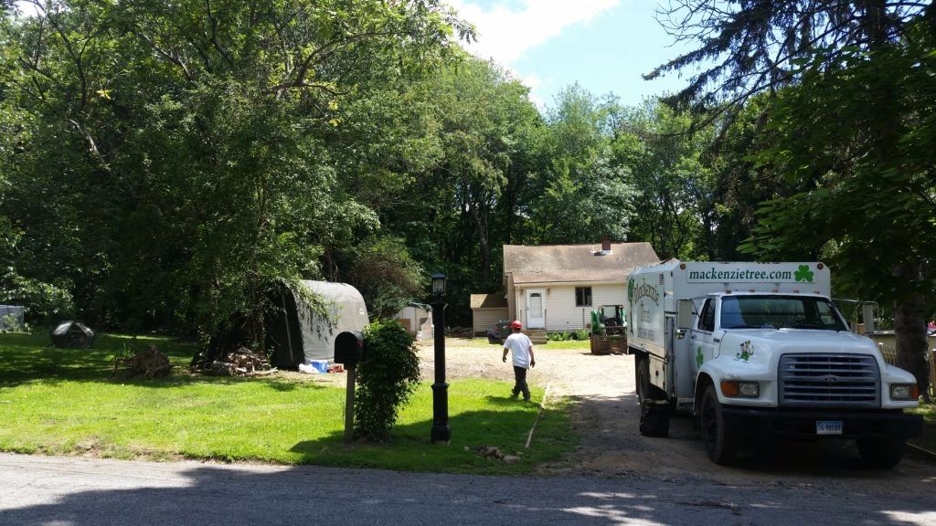 MacKenzie Tree bucket truck at residential trimming job — CT